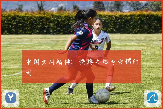 中国女排精神:拼搏之路与荣耀时刻