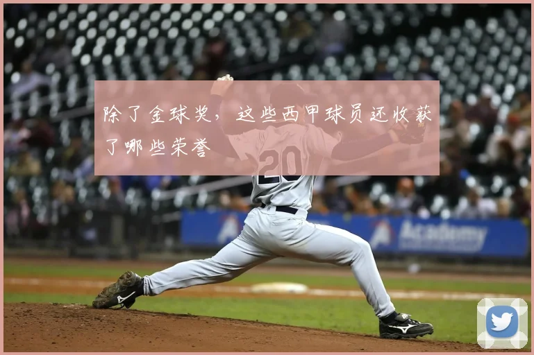 除了金球奖，这些西甲球员还收获了哪些荣誉